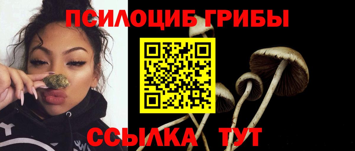 Галлюциногенные грибы MAGIC MUSHROOMS Алексеевка